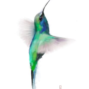 Humming Bird Procreate Painting