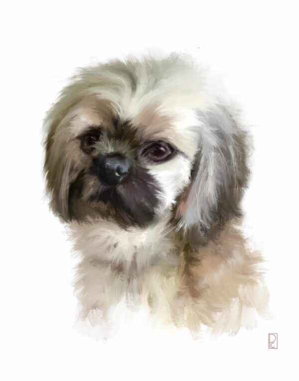 Custom Pet Portrait - Image 9