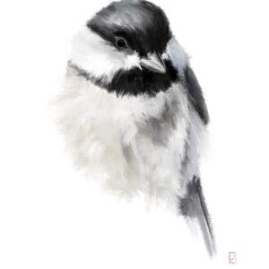 Chickadee Procreate Painting