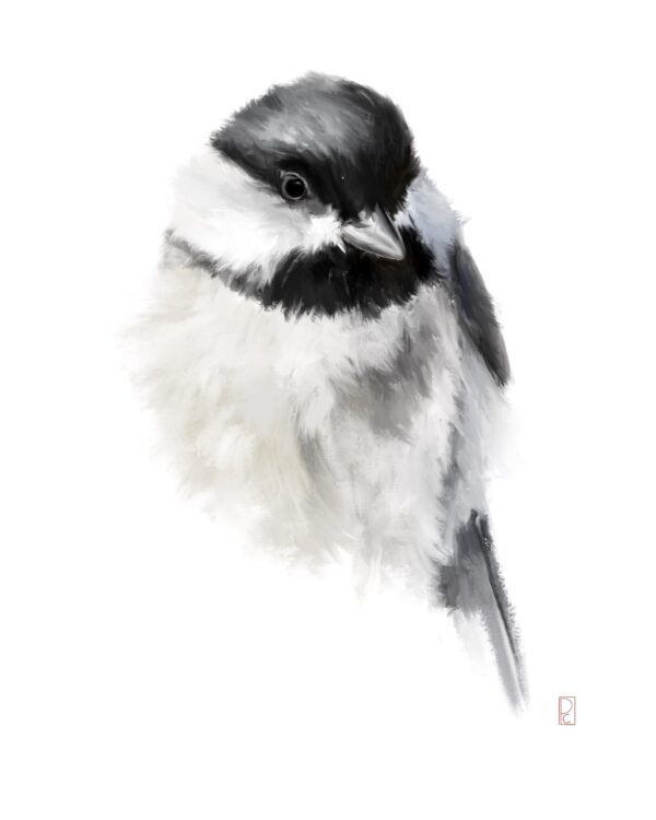 Chickadee Procreate Painting