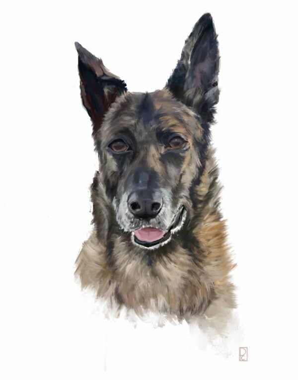 Custom Pet Portrait - Image 6