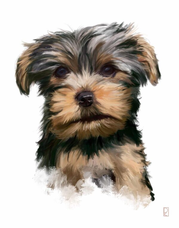 Custom Pet Portrait - Image 7