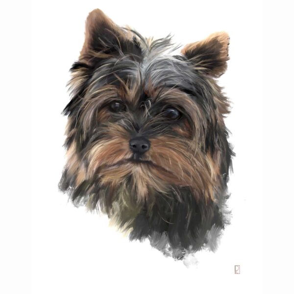 Digital Oil Painting Pet Portrait