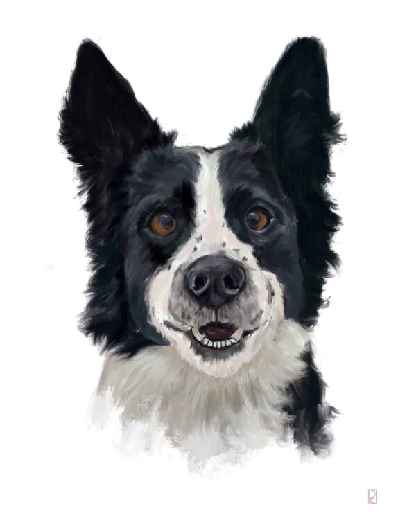 Custom Pet Portrait - Image 11