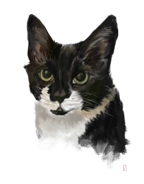 Custom Pet Portrait - Image 8