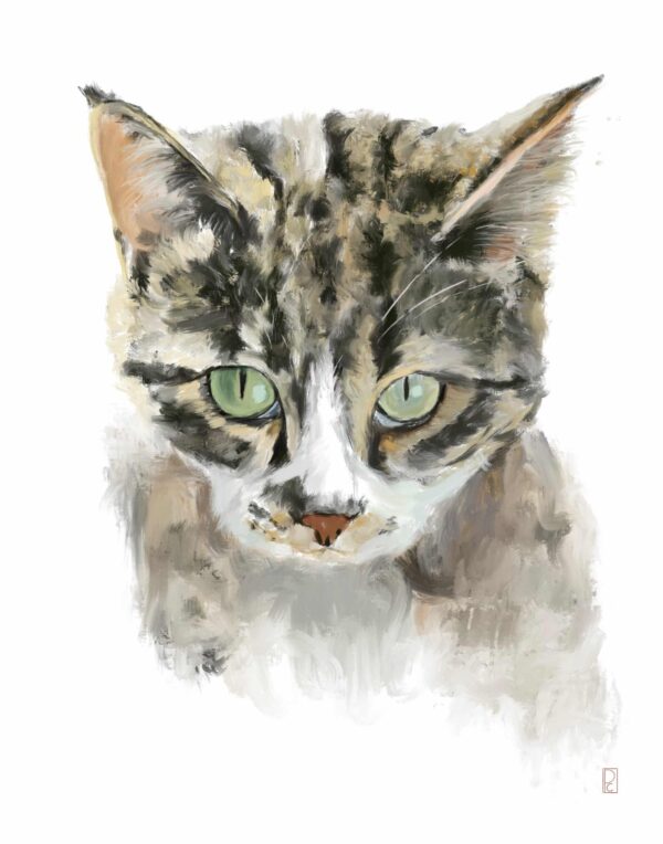 Custom Pet Portrait - Image 4