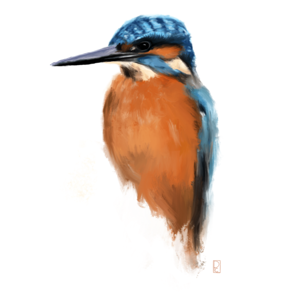 Procreate Oil Painting Brushes - Image 3