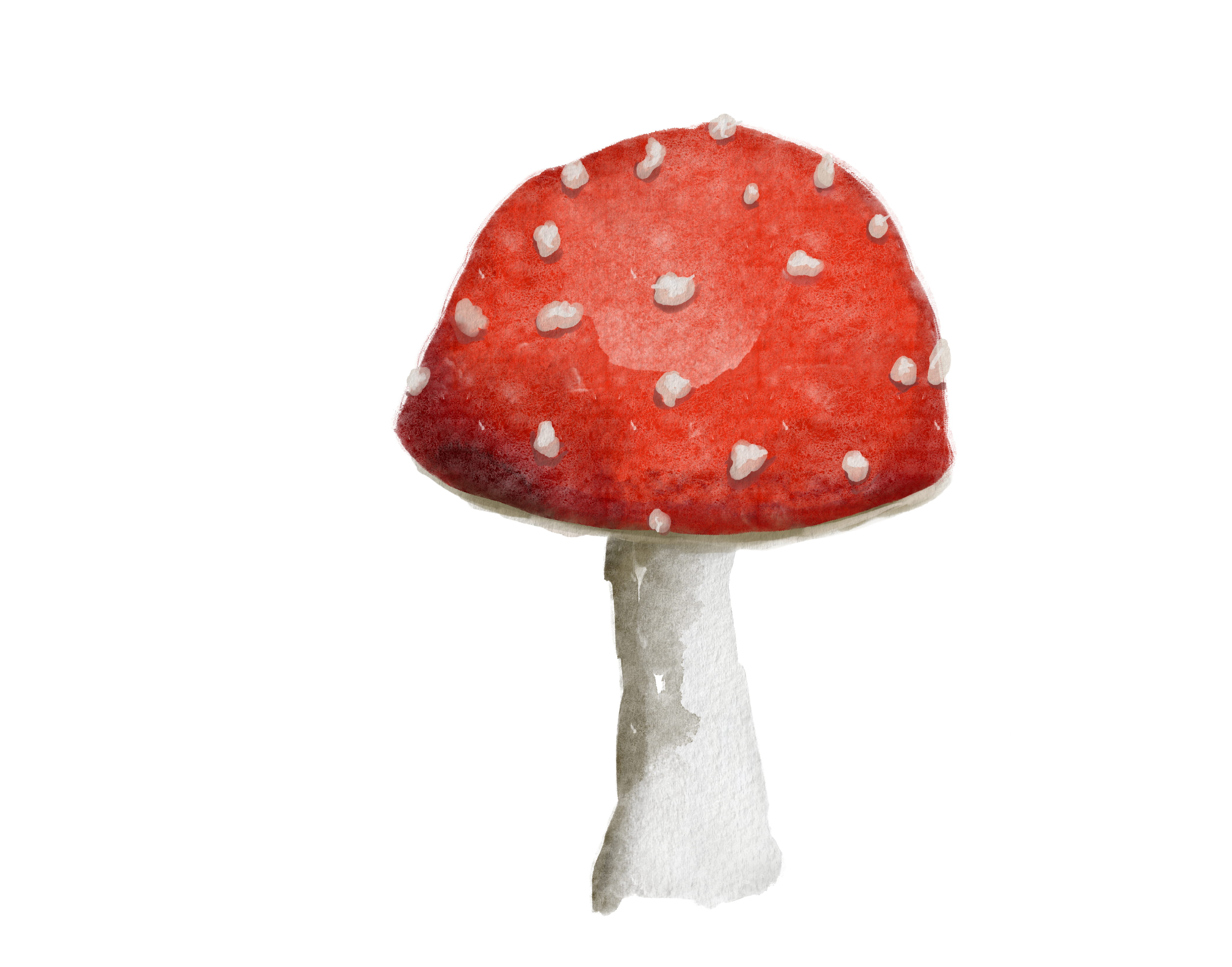 Ditial Watercolor Mushroom