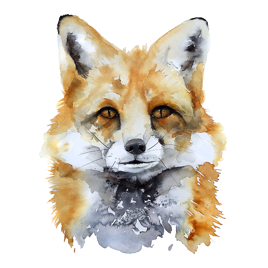 Watercolour Fox
