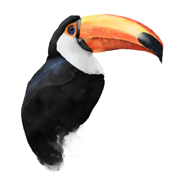 Digital Watercolor Bird