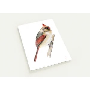 Copy of Watercolour Tree Swallow Greeting Cards - Package of 10