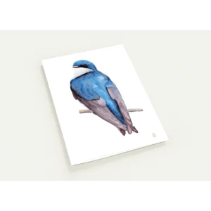 Watercolour Tree Swallow Greeting Cards - Package of 10