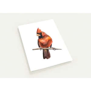 Watercolour Cardinal Greeting Cards - Package of 10